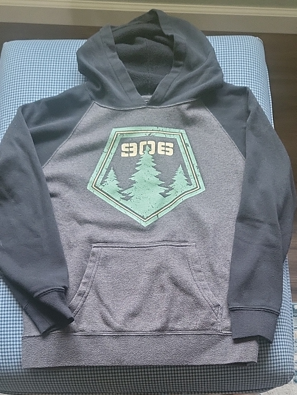 Gray & Black 906 Hooded Sweatshirt with Forest Graphic